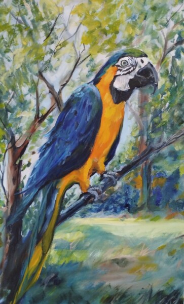 Pintura intitulada "Perroquet" por Claudine Pochat, Obras de arte originais, Óleo
