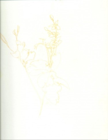Drawing titled "A flower in a garden" by Olof Lagerhorn, Original Artwork