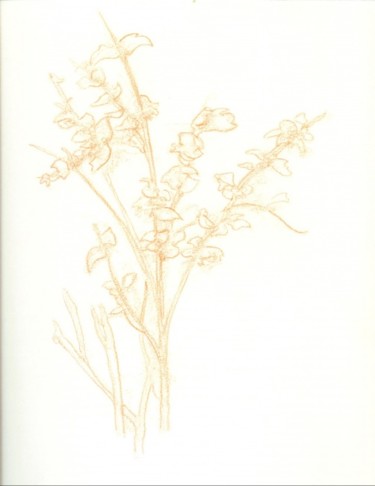 Drawing titled "More flowers in a g…" by Olof Lagerhorn, Original Artwork