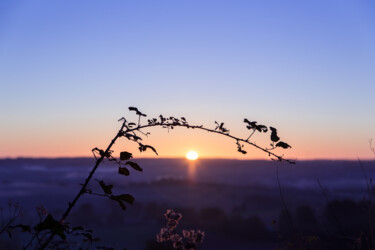 Photographie intitulée "Sunrise" par Clémence Aresu, Œuvre d'art originale