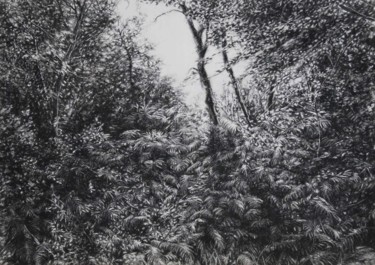 Morvan 1 Drawing titled "Morvan 1" by Clémence Wach, Original Art, Conté