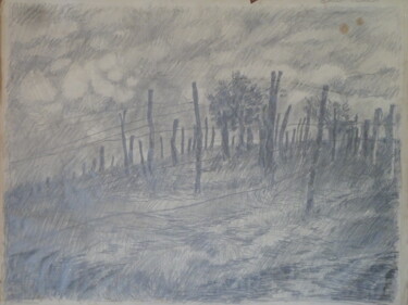 Dessin intitulée "vigne en hivers" par Clément Barut, Œuvre d'art originale, Crayon