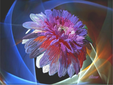 Digital Arts titled "fleur exotique" by Clément Perrenx, Original Artwork, Digital Painting