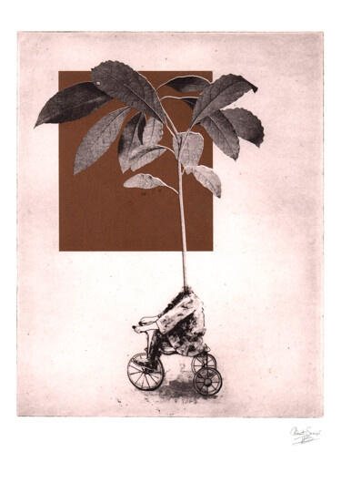 Incisioni, stampe intitolato "The Avocado" da Clement Scarpi, Opera d'arte originale, incisione