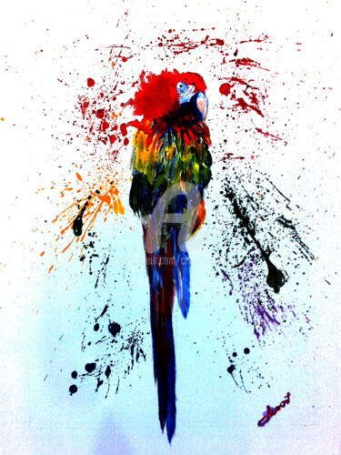 Pintura intitulada "Colourful Parrot in…" por Clement Tsang, Obras de arte originais, Acrílico