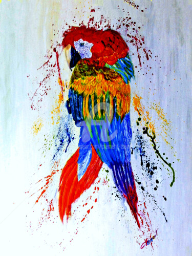 Pintura intitulada "Colorful Parrot" por Clement Tsang, Obras de arte originais, Óleo