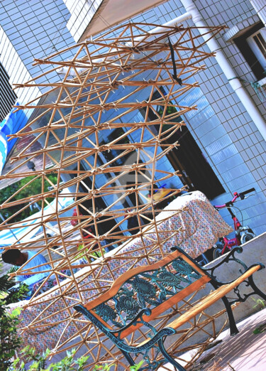 Photographie intitulée "Bamboo Art Display…" par Clement Tsang, Œuvre d'art originale, Photographie numérique