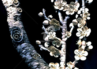 Фотография под названием "TW30-Silver Tree Di…" - Clement Tsang, Подлинное произведение искусства, Цифровая фотография