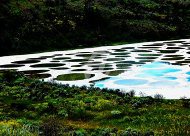 Fotografía titulada "South Okanagan Gras…" por Clement Tsang, Obra de arte original, Fotografía digital