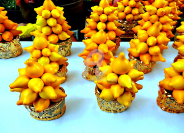 Photography titled "Solanum in Hong Kong" by Clement Tsang, Original Artwork, Digital Photography