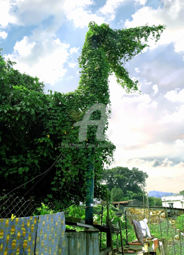 Фотография под названием "Hong Kong Island -…" - Clement Tsang, Подлинное произведение искусства, Цифровая фотография