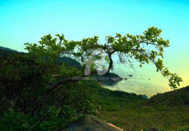 Photography titled "Hong Kong Island -…" by Clement Tsang, Original Artwork, Digital Photography
