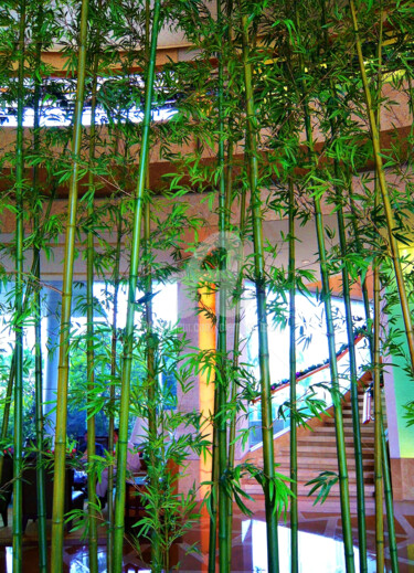Fotografía titulada "Bamboo Tree inside…" por Clement Tsang, Obra de arte original, Fotografía digital