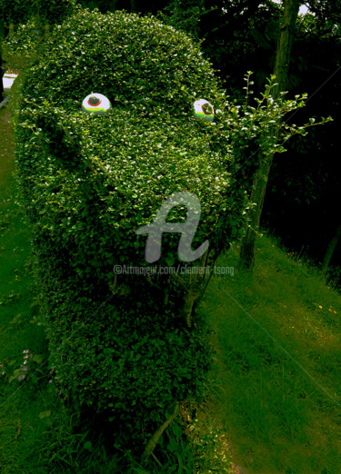 Фотография под названием "Funny Green Plant i…" - Clement Tsang, Подлинное произведение искусства, Цифровая фотография