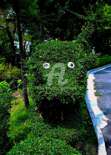 Photographie intitulée "Funny Green Plant i…" par Clement Tsang, Œuvre d'art originale, Photographie numérique