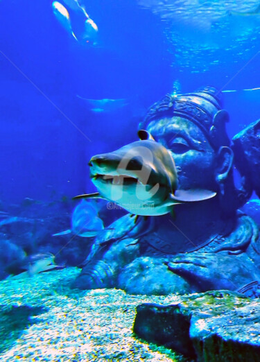 Fotografia intitulada "The Shark and Statu…" por Clement Tsang, Obras de arte originais, Fotografia digital