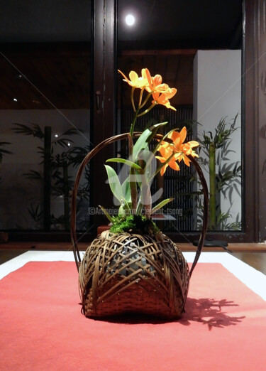 Fotografia intitulada "Yellow Flower Displ…" por Clement Tsang, Obras de arte originais, Fotografia digital