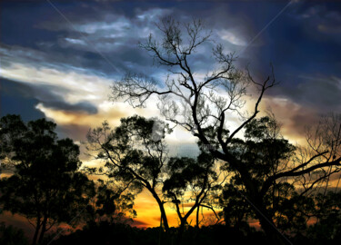 Photography titled "Sunset and The Fore…" by Clement Tsang, Original Artwork, Digital Photography