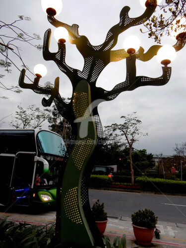 Фотография под названием "TW06-Tree Lamp on S…" - Clement Tsang, Подлинное произведение искусства, Цифровая фотография