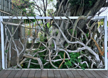 摄影 标题为“TW33-Root Tree” 由Clement Tsang, 原创艺术品, 数码摄影