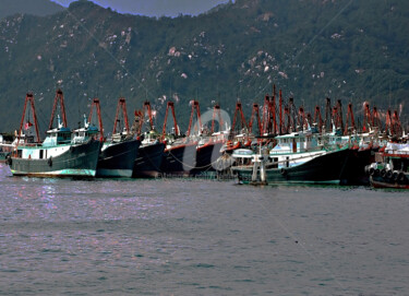 Photographie intitulée "HK46-Large Fishing…" par Clement Tsang, Œuvre d'art originale, Photographie numérique