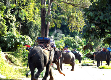 Fotografie getiteld "Elephant Walk in th…" door Clement Tsang, Origineel Kunstwerk, Digitale fotografie