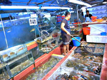 Fotografía titulada "Fresh Seafood for S…" por Clement Tsang, Obra de arte original, Fotografía digital