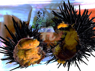 Fotografia intitolato "The Sea Urchin in J…" da Clement Tsang, Opera d'arte originale, Fotografia digitale