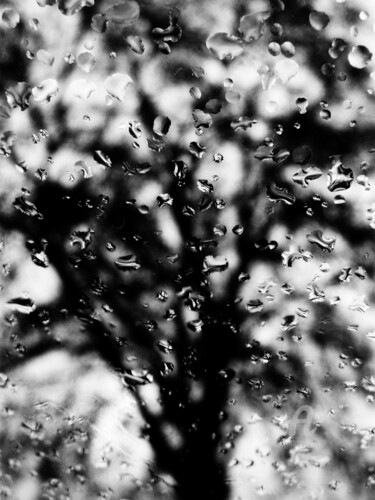 Photographie intitulée "Gouttes de pluies" par Clémentine Palud, Œuvre d'art originale