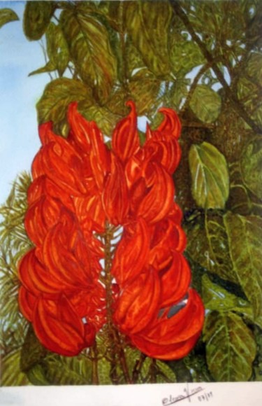 Pintura intitulada "flor-jade-laranja.j…" por Cleusa Maria De Souza Nunes Vieira, Obras de arte originais, Aquarela