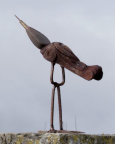 Sculpture titled "BIRDY" by Clive Manuel, Original Artwork, Metals