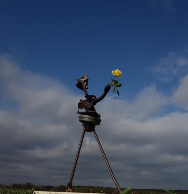Sculpture intitulée "Rose" par Clive Manuel, Œuvre d'art originale
