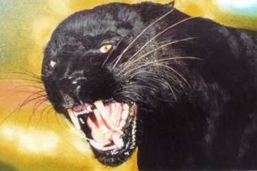 Peinture intitulée "Panthère noire" par Cloper, Œuvre d'art originale, Huile
