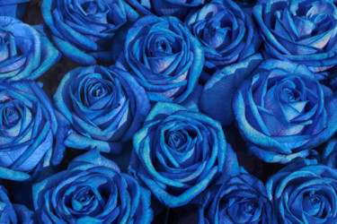 Arts numériques intitulée "Rosas azules" par Claudio, Œuvre d'art originale, Travail numérique 2D