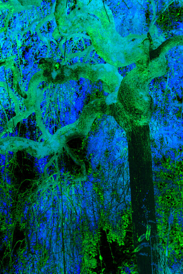 Photographie intitulée "Variations en bleu" par Chupalia, Œuvre d'art originale, Photographie numérique
