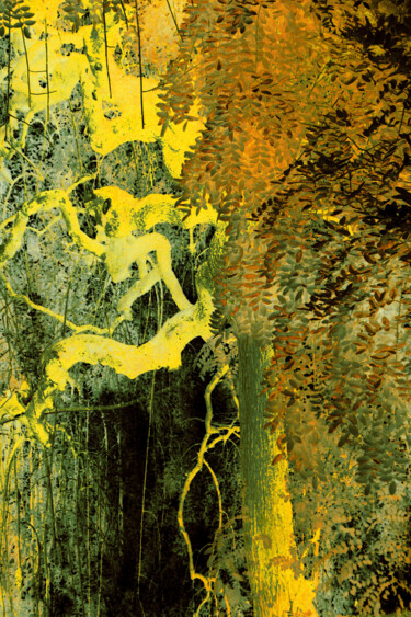 L'esprit de l'arbre #6 Photographie intitulée "L'esprit de l'arbre…" par Chupalia, Œuvre d'art originale, Photographie numérique