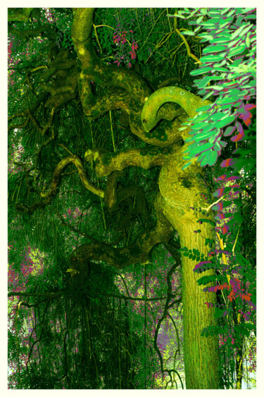 Fotografia intitolato "L'esprit-de-l'arbre…" da Chupalia, Opera d'arte originale, Fotografia digitale Montato su Telaio per…