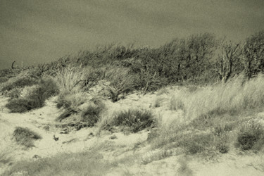 Photographie intitulée "De-sable-fin" par Chupalia, Œuvre d'art originale
