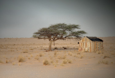 Photographie intitulée "Savane-africaine-#2" par Chupalia, Œuvre d'art originale