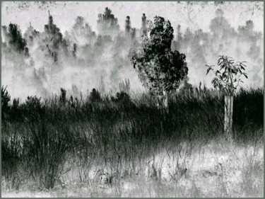 Photographie intitulée "Sous-la-brume-#1" par Chupalia, Œuvre d'art originale