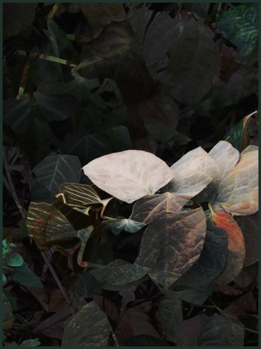Fotografie mit dem Titel "feuilles-d-automne1…" von Chupalia, Original-Kunstwerk