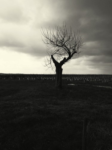 Fotografie mit dem Titel "solitude#1.jpg" von Chupalia, Original-Kunstwerk