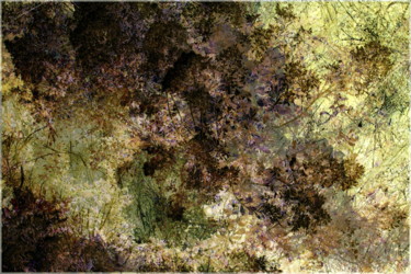 Fotografia intitulada "couleurs d'automne" por Chupalia, Obras de arte originais