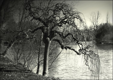 Photographie intitulée "Les pieds dans l'ea…" par Chupalia, Œuvre d'art originale