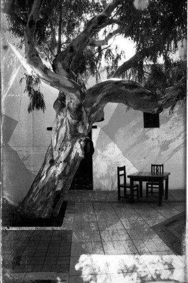 a-l-ombre-10.jpg Photographie intitulée "a-l-ombre-10.jpg" par Chupalia, Œuvre d'art originale,