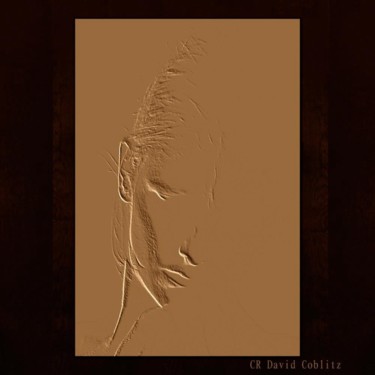 Fotografia intitolato "Copper Kammie.jpg" da Coblitz David, Opera d'arte originale, Fotografia digitale