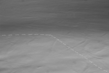 Photographie intitulée "Scars on the snow" par Corentin Thauvin, Œuvre d'art originale, Photographie numérique