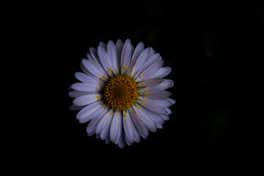 Photographie intitulée "White from the dark" par Corentin Thauvin, Œuvre d'art originale, Photographie non manipulée