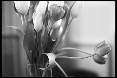 Fotografie getiteld "« tulipes »" door Cojan, Origineel Kunstwerk, Digitale fotografie