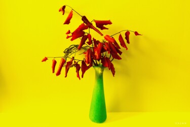 Fotografia intitolato "«Red, green, yellow…" da Cojan, Opera d'arte originale, Fotografia digitale